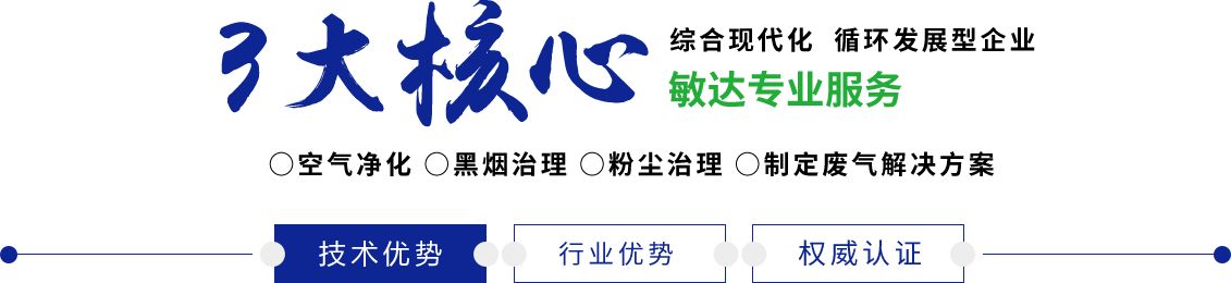 美女日逼网敏达环保科技（嘉兴）有限公司